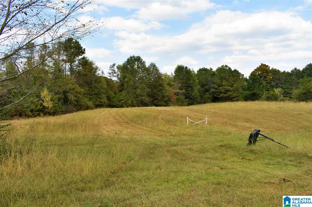 3052 Smith Mill Road, Unit 1 Trafford, AL 35172 - Photo 21 of 24