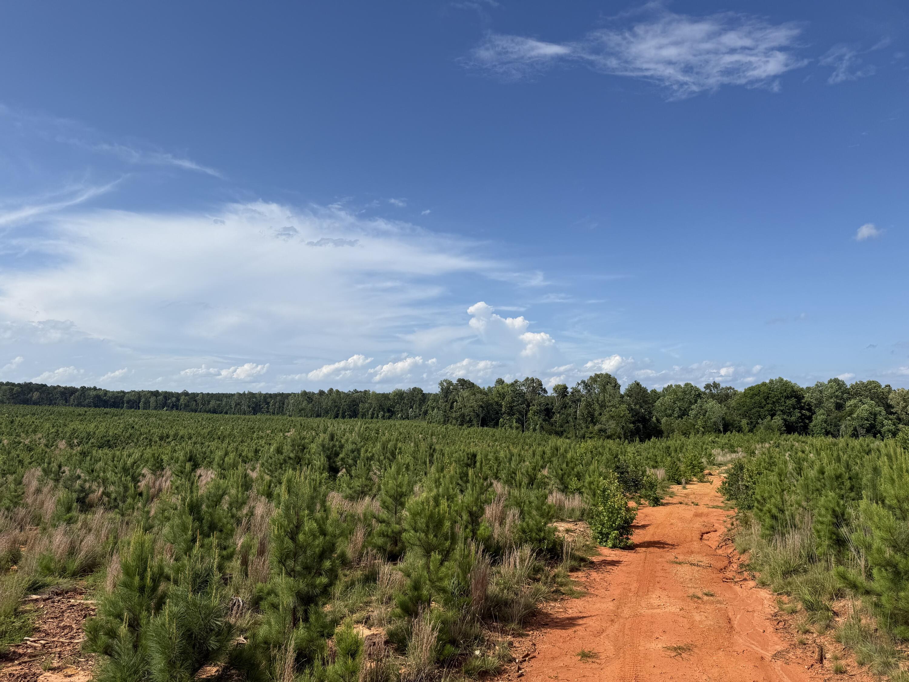 Tbd Tbd Us-378 McCormick, SC 29835 - Photo 11 of 15