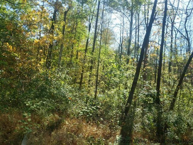 Burlingham Rd Pine Pine Bush, NY 12566 - Photo 2 of 6 Photo 2