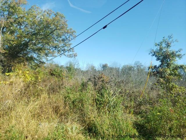 Burlingham Rd Pine Pine Bush, NY 12566 - Photo 3 of 6 Photo 3