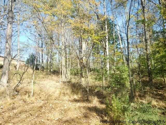 Burlingham Rd Pine Pine Bush, NY 12566 - Photo 4 of 6 Photo 4