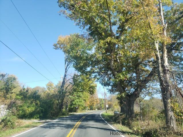 Burlingham Rd Pine Pine Bush, NY 12566 - Photo 5 of 6 Photo 5