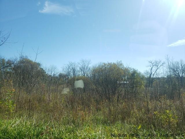 Burlingham Rd Pine Pine Bush, NY 12566 - Photo 6 of 6 Photo 6
