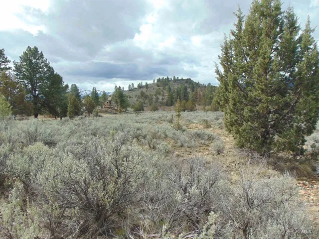$115,000 | Tbd Rattlesnake Lane, Unity, OR 97884