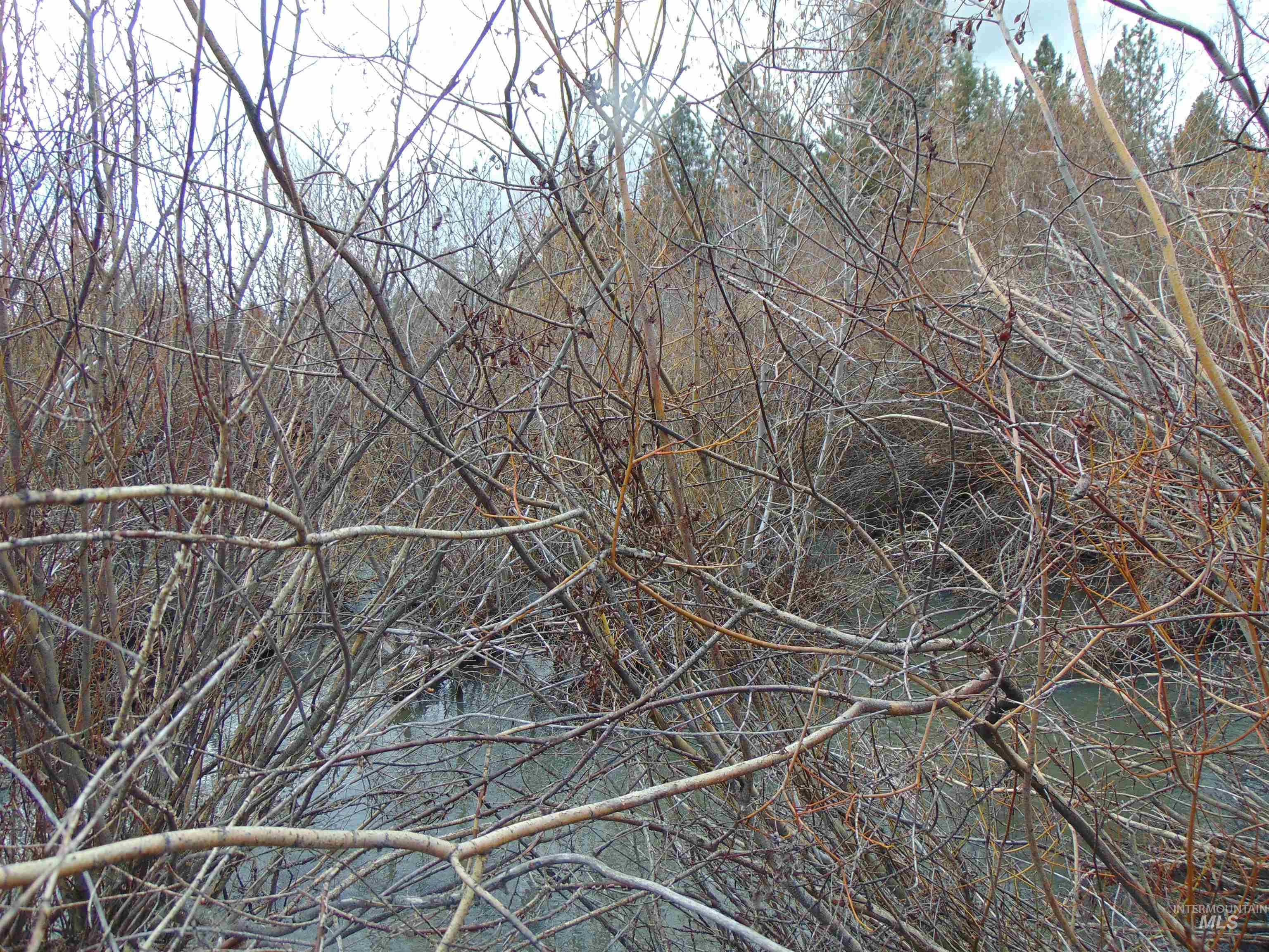 Tbd Rattlesnake Lane Unity, OR 97884 - Photo 5 of 9