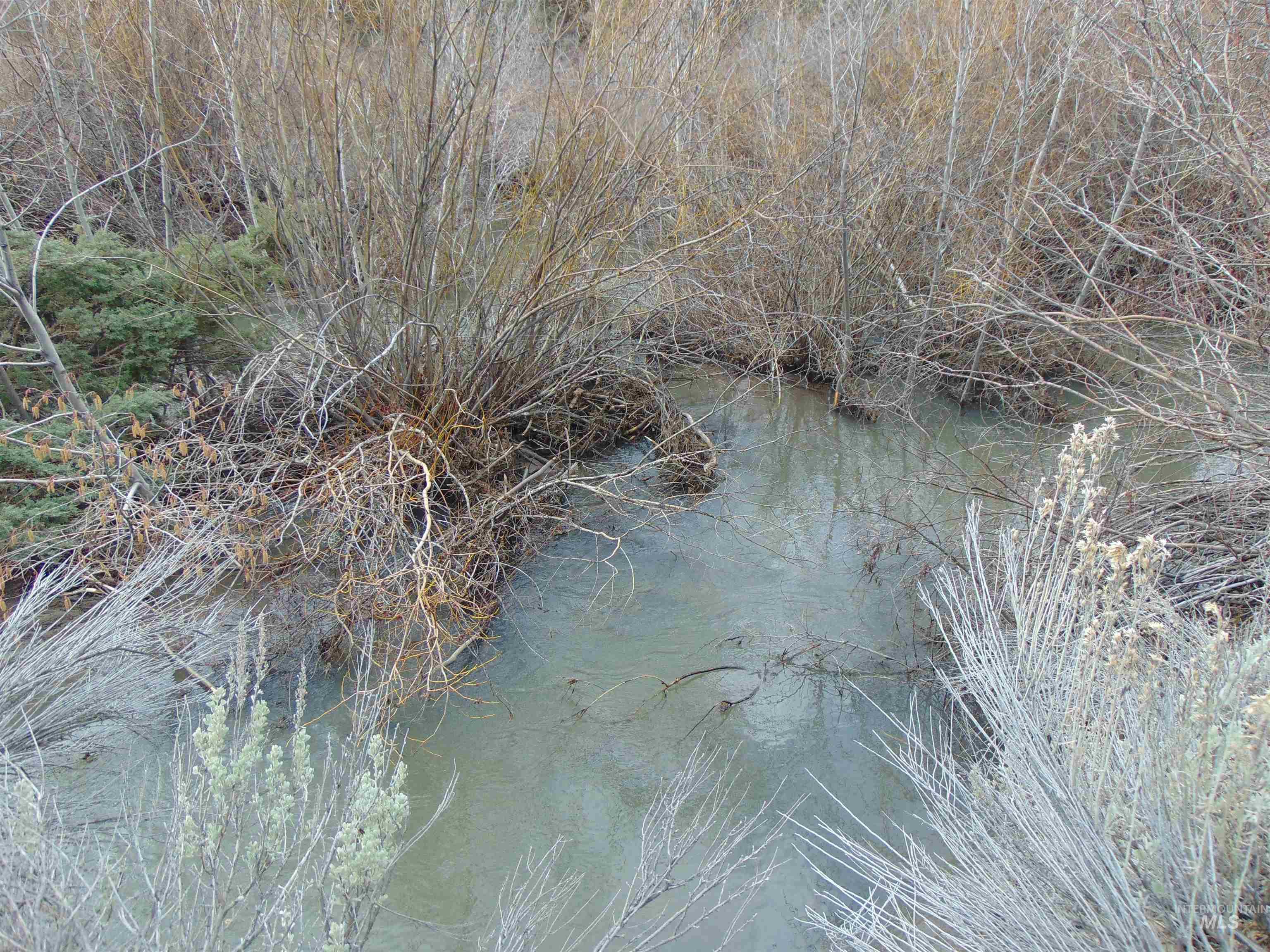 Tbd Rattlesnake Lane Unity, OR 97884 - Photo 6 of 9