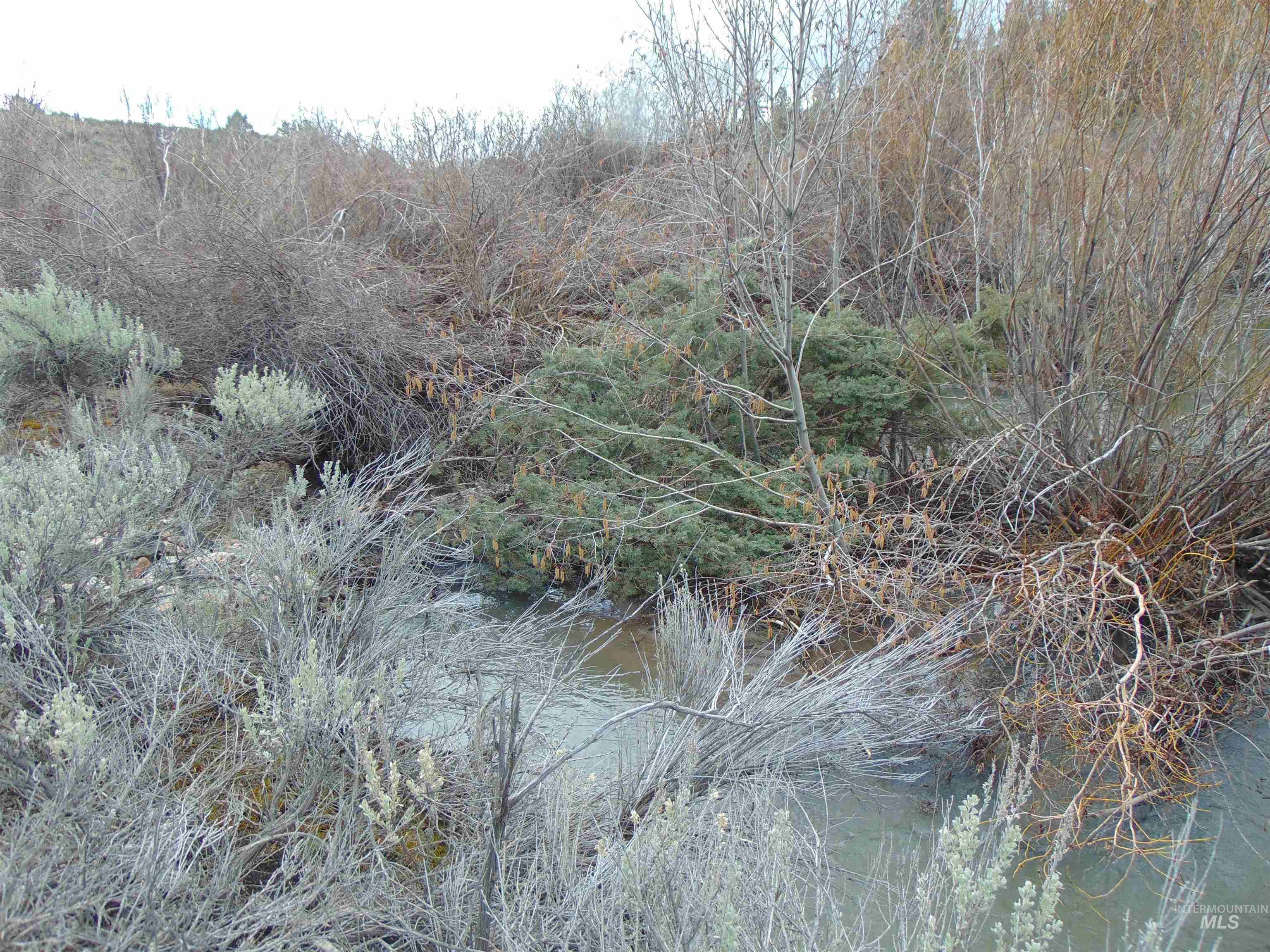 Tbd Rattlesnake Lane Unity, OR 97884 - Photo 7 of 9
