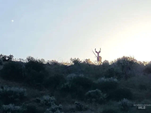 $115,000 | Tbd Rattlesnake Lane, Unity, OR 97884