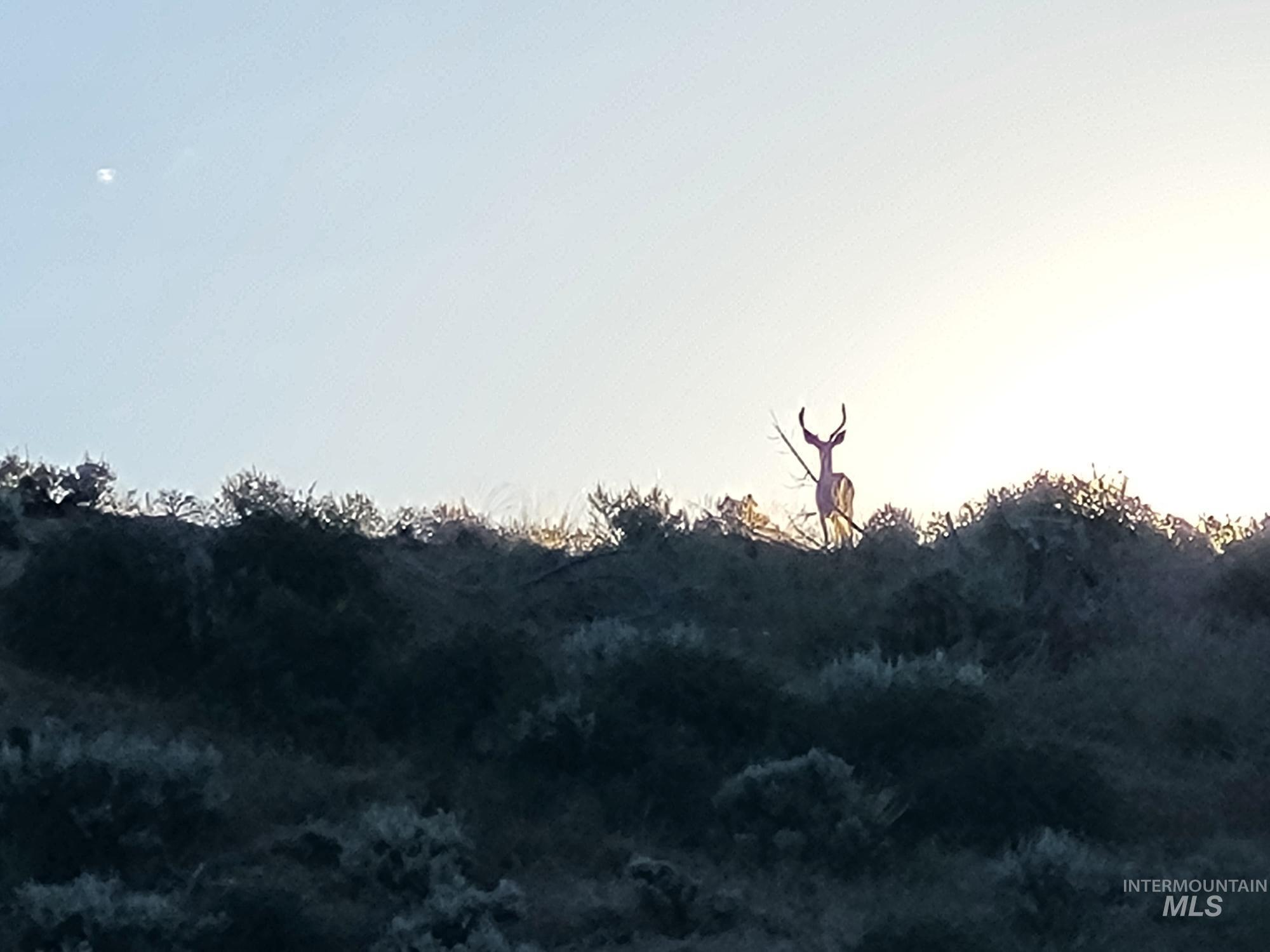 Tbd Rattlesnake Lane Unity, OR 97884 - Photo 9 of 9