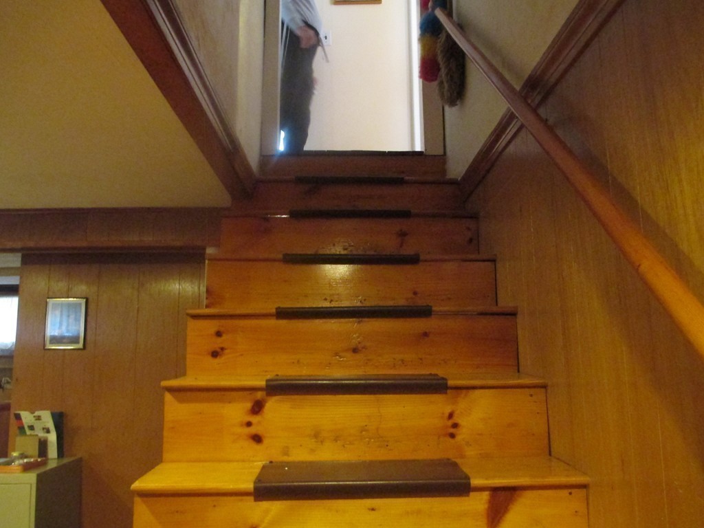 39 Badger Road Boston, MA 02136 - Photo 18 of 24