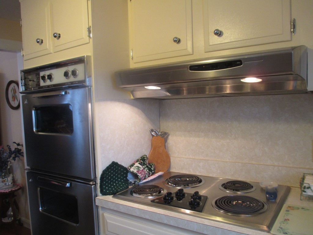 39 Badger Road Boston, MA 02136 - Photo 4 of 24