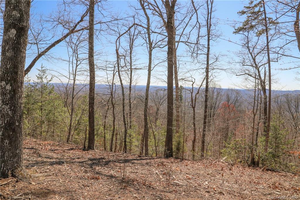 9999 Ragan Pointe Pointe, Unit 59 Columbus, NC 28722 - Photo 2 of 22
