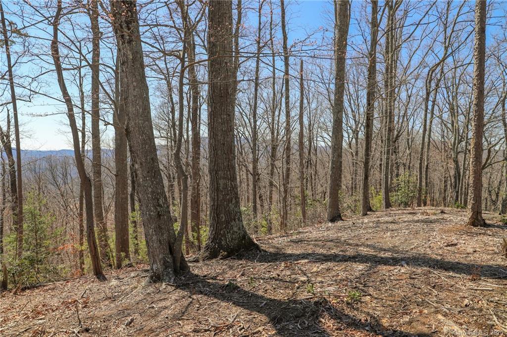 9999 Ragan Pointe Pointe, Unit 59 Columbus, NC 28722 - Photo 3 of 22
