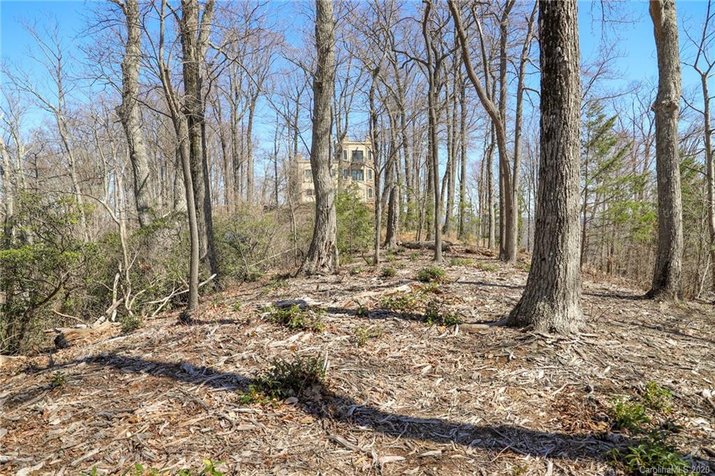 9999 Ragan Pointe Pointe, Unit 59 Columbus, NC 28722 - Photo 6 of 22
