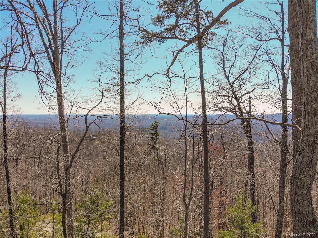 9999 Ragan Pointe Pointe, Unit 59 Columbus, NC 28722 - Photo 7 of 22