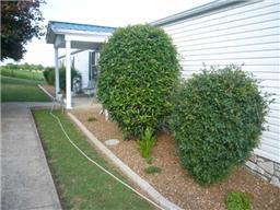 810 Honeysuckle Lane Road Bethpage, TN 37022 - Photo 13 of 18 Gallery Image 13
