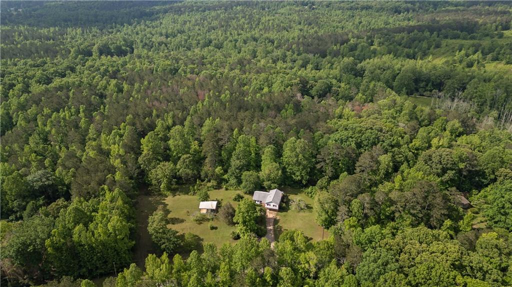 768 Burwell Road Carrollton, GA 30117 - Photo 35 of 42 a view of a lush green forest