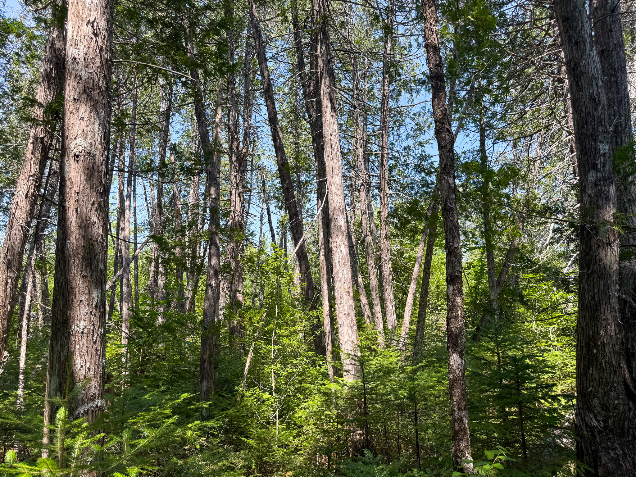 132 Rainy Road Springfield, ME 04487 - Photo 26 of 30 27