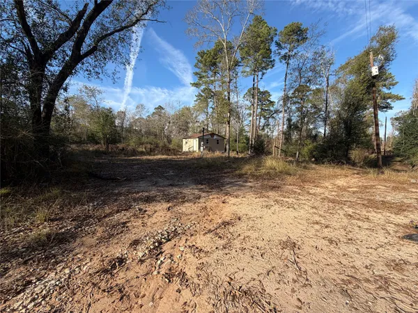 a view of a yard with trees