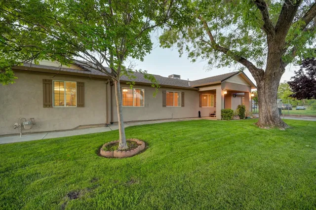 a backyard of a house with plants and large tree