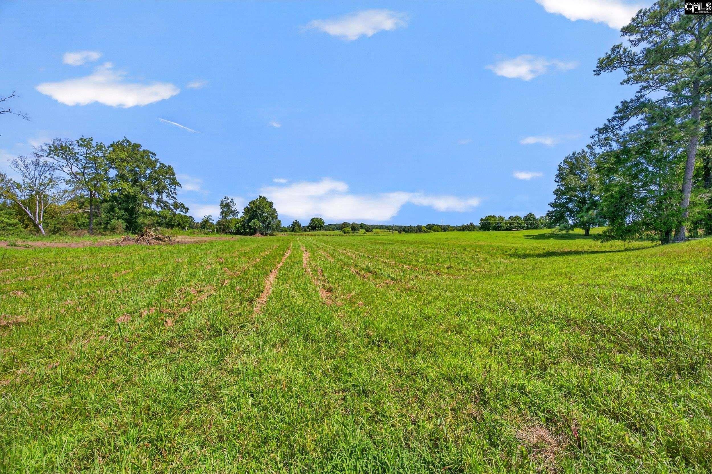 8459 St Lukes Church Road Newberry, SC 29108 - Photo 94 of 97 Gallery Image 94