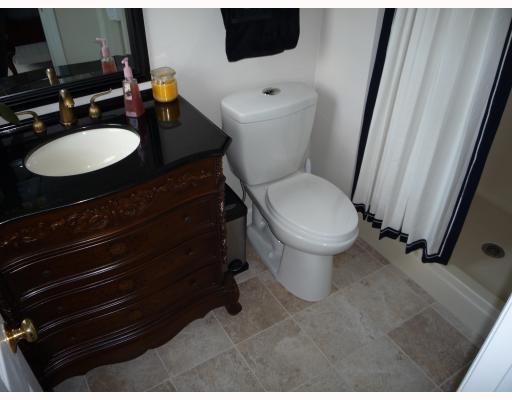509 McCombs Road Venetia, PA 15367 - Photo 12 of 18 Master Bath/Spa.