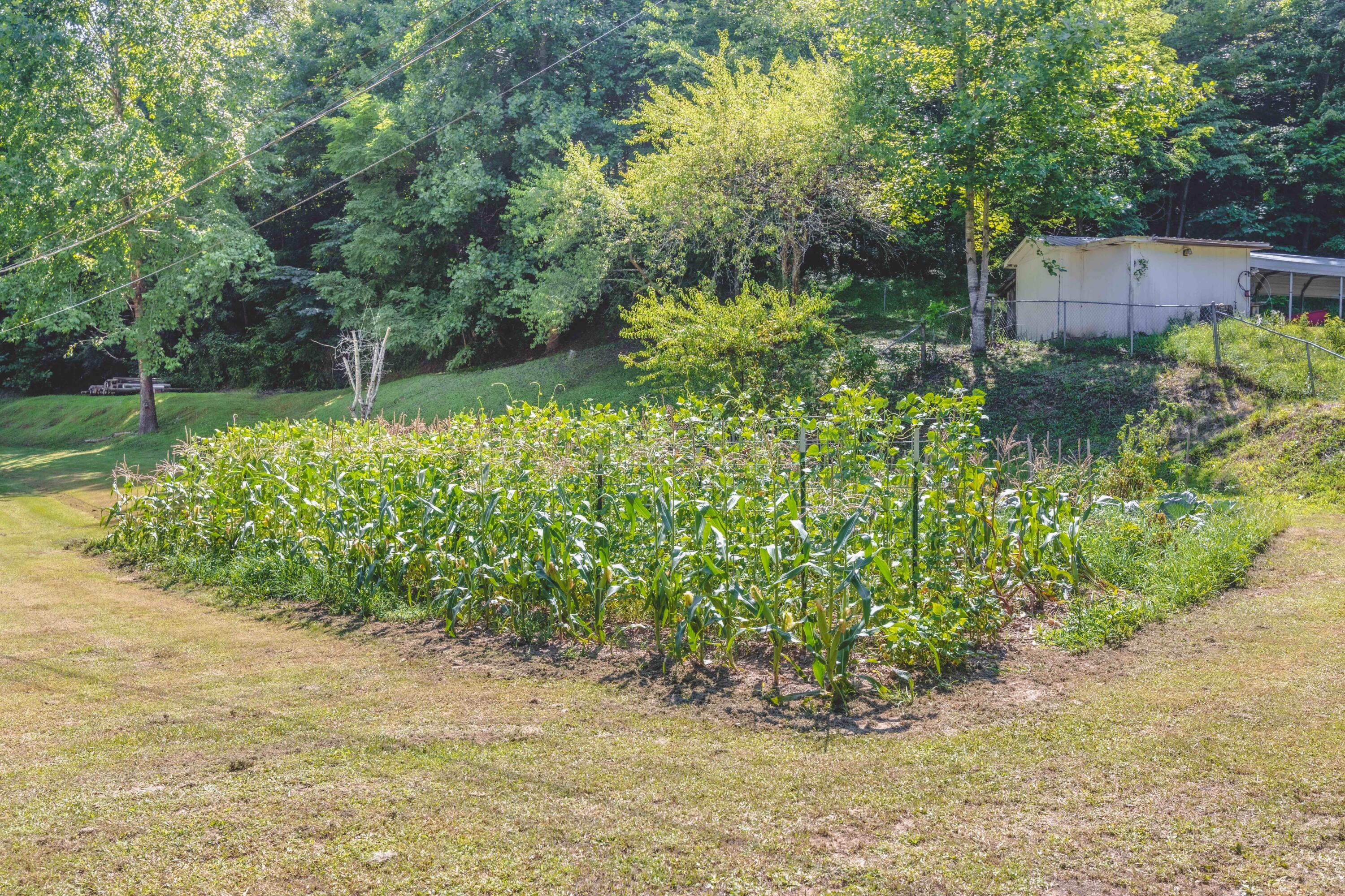 60 Shirley Don Road Manchester, KY 40962 - Photo 48 of 57 015