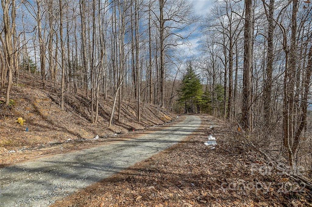 0 Pinnacle Drive Tryon, NC 28782 - Photo 5 of 10 a view of a backyard with trees