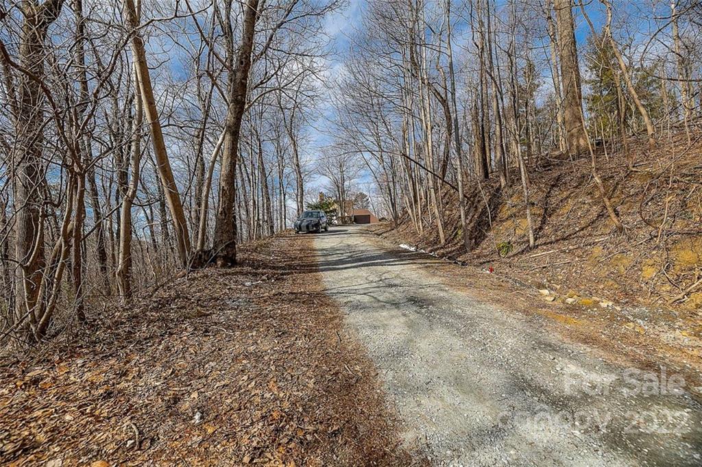 0 Pinnacle Drive Tryon, NC 28782 - Photo 6 of 10 a view of dirt yard with trees