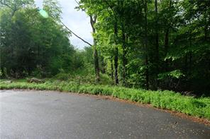 63 White Birch Road Pound Ridge, NY 10576 - Photo 1 of 1