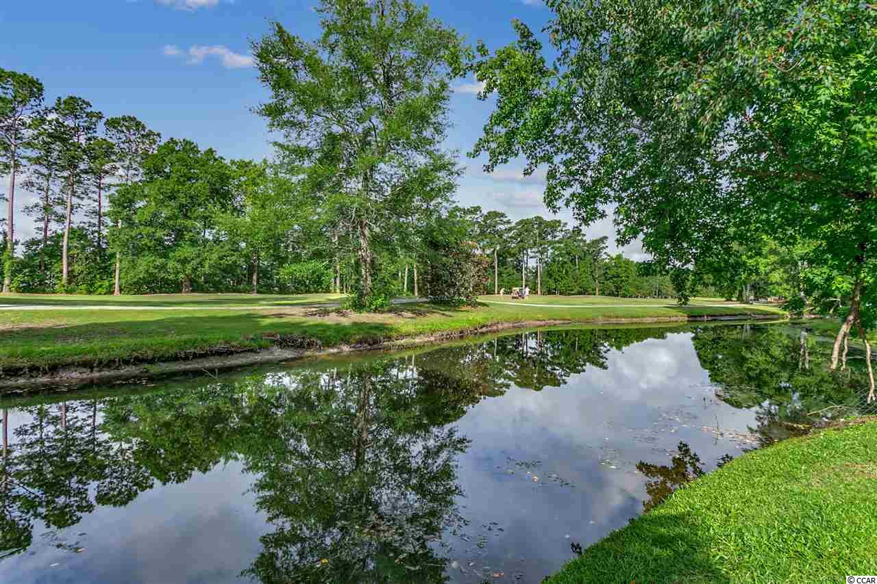 9398 Pinckney Lane Murrells Inlet, SC 29576 - Photo 30 of 38 Gallery Image 30