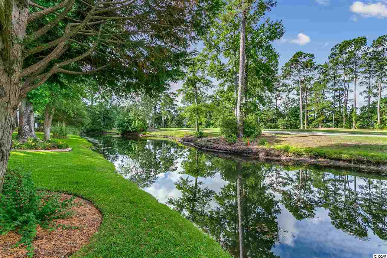 9398 Pinckney Lane Murrells Inlet, SC 29576 - Photo 32 of 38 Gallery Image 32