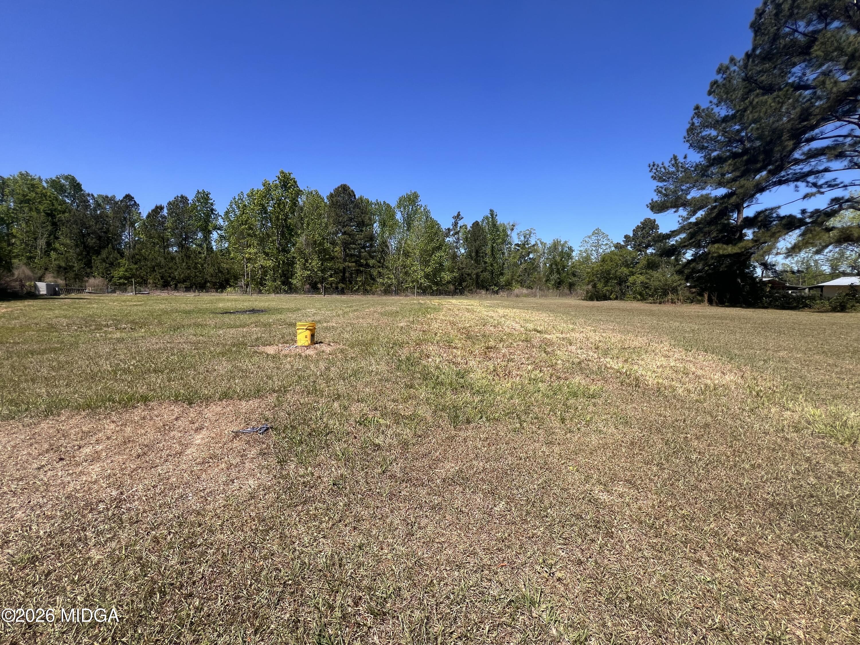 113 Riverview Road Soperton, GA 30457 - Photo 16 of 16 IMG_9932