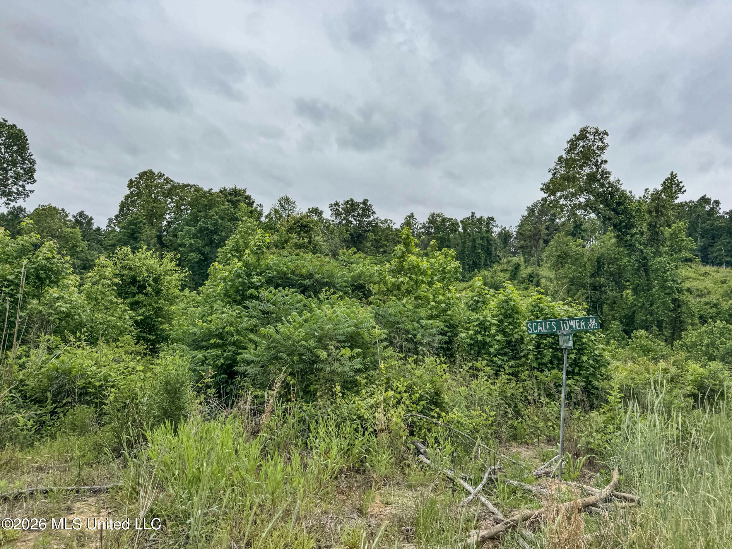 Wayne Massie Road Como, MS 38619 - Photo 130 of 184 5cdtbs71