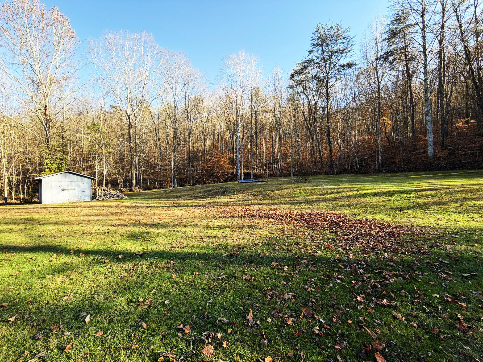 Expansive, park-like yard bordered by towering hardwoods—private, open, and beautifully serene!
