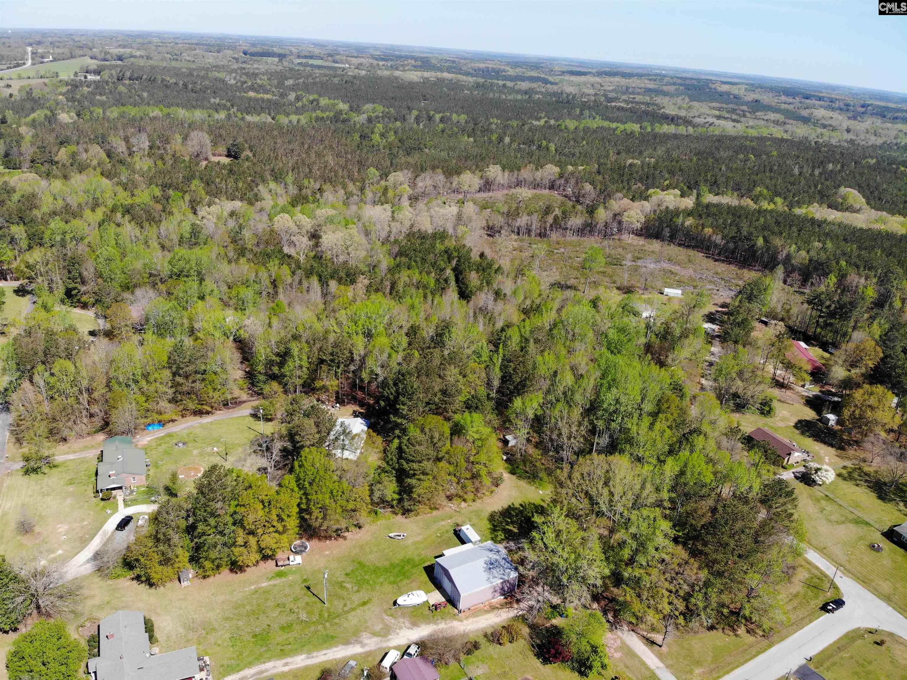 Tbd James Road Joanna, SC 29351 - Photo 21 of 82