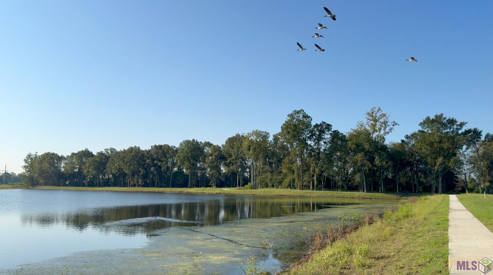 3564 Waterbury Avenue Baton Rouge, LA 70810 - Photo 39 of 43 Stunning Walking Trails