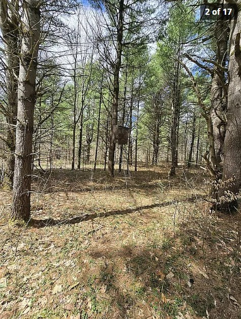 13612 Lewisburg Road Natural Bridge, NY 13665 - Photo 17 of 17 Gallery Image 17