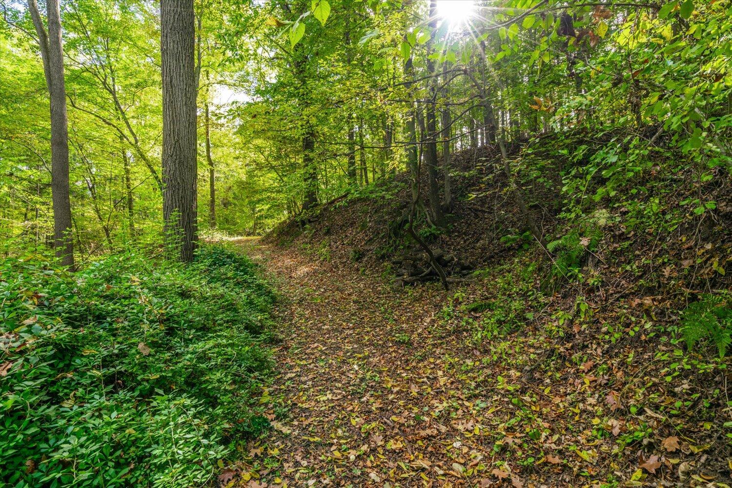 3150 Worgess Road Hastings, MI 49058 - Photo 38 of 50 path to Middle Lake
