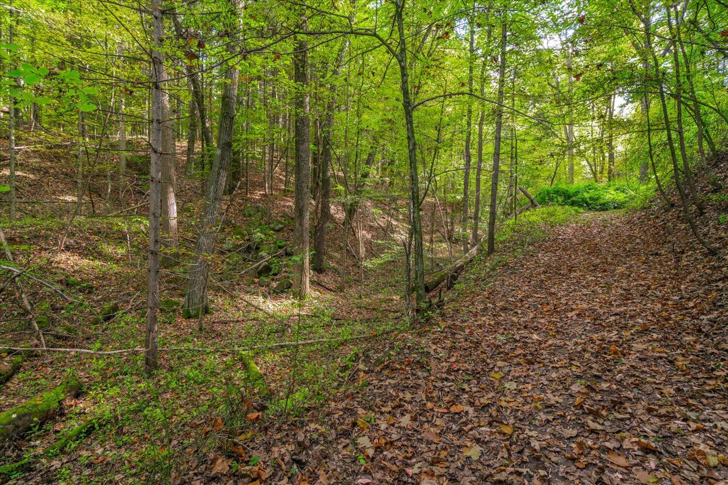 3150 Worgess Road Hastings, MI 49058 - Photo 42 of 50 ravine