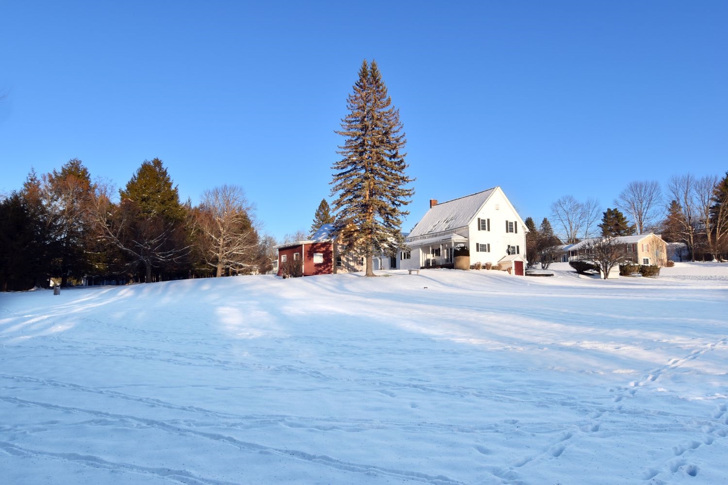 16 Osborne Road Barre Town, VT 05641 - Photo 36 of 39