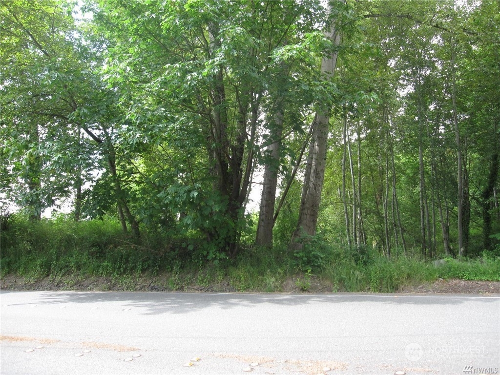 640 South 55th Street Renton, WA 98055 - Photo 1 of 3 a view of a yard with a trees