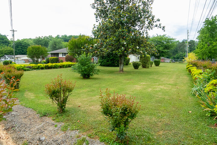 402 Browntown Road Chattanooga, TN 37415 - Photo 4 of 25 _MG_2498