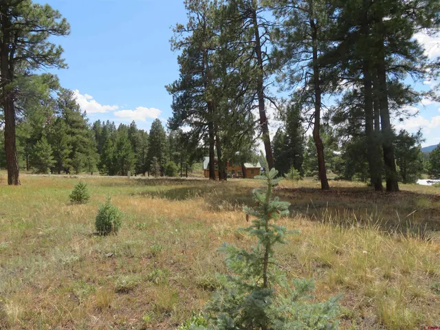 $50,990 | 142 Hatcher Circle, Pagosa Springs, CO 81147