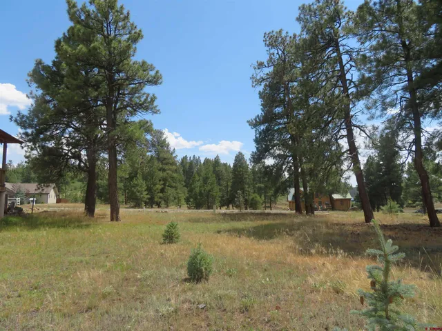 $50,990 | 142 Hatcher Circle, Pagosa Springs, CO 81147