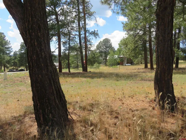 $50,990 | 142 Hatcher Circle, Pagosa Springs, CO 81147