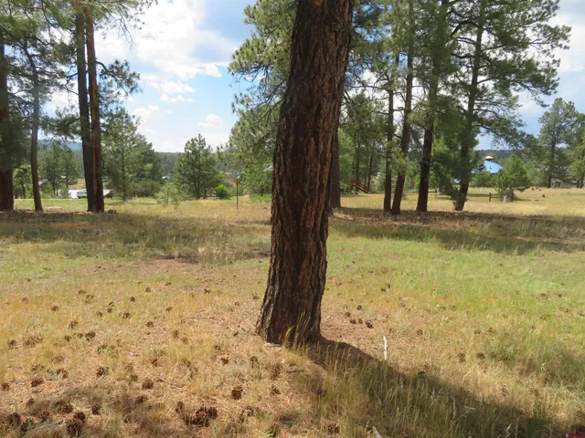 $50,990 | 142 Hatcher Circle, Pagosa Springs, CO 81147