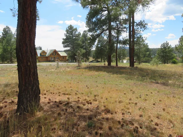 $50,990 | 142 Hatcher Circle, Pagosa Springs, CO 81147