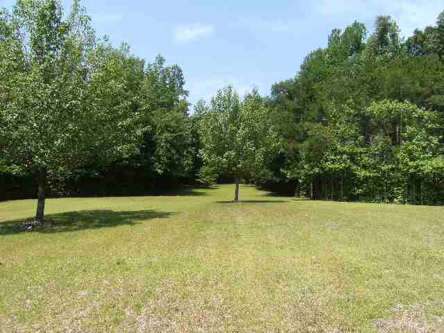 336 Ledbetter Road Travelers Rest, SC 29690 - Photo 3 of 16