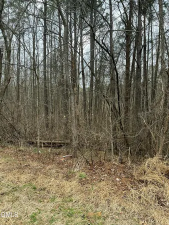 a view of a yard with trees in the background